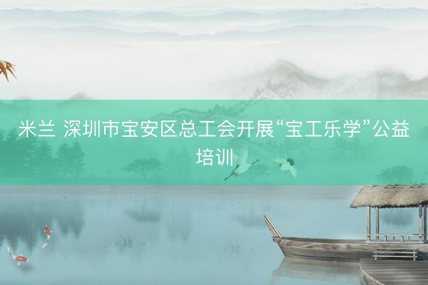 米兰 深圳市宝安区总工会开展“宝工乐学”公益培训